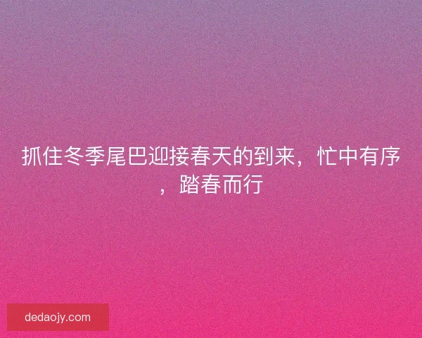 抓住冬季尾巴迎接春天的到来，忙中有序，踏春而行